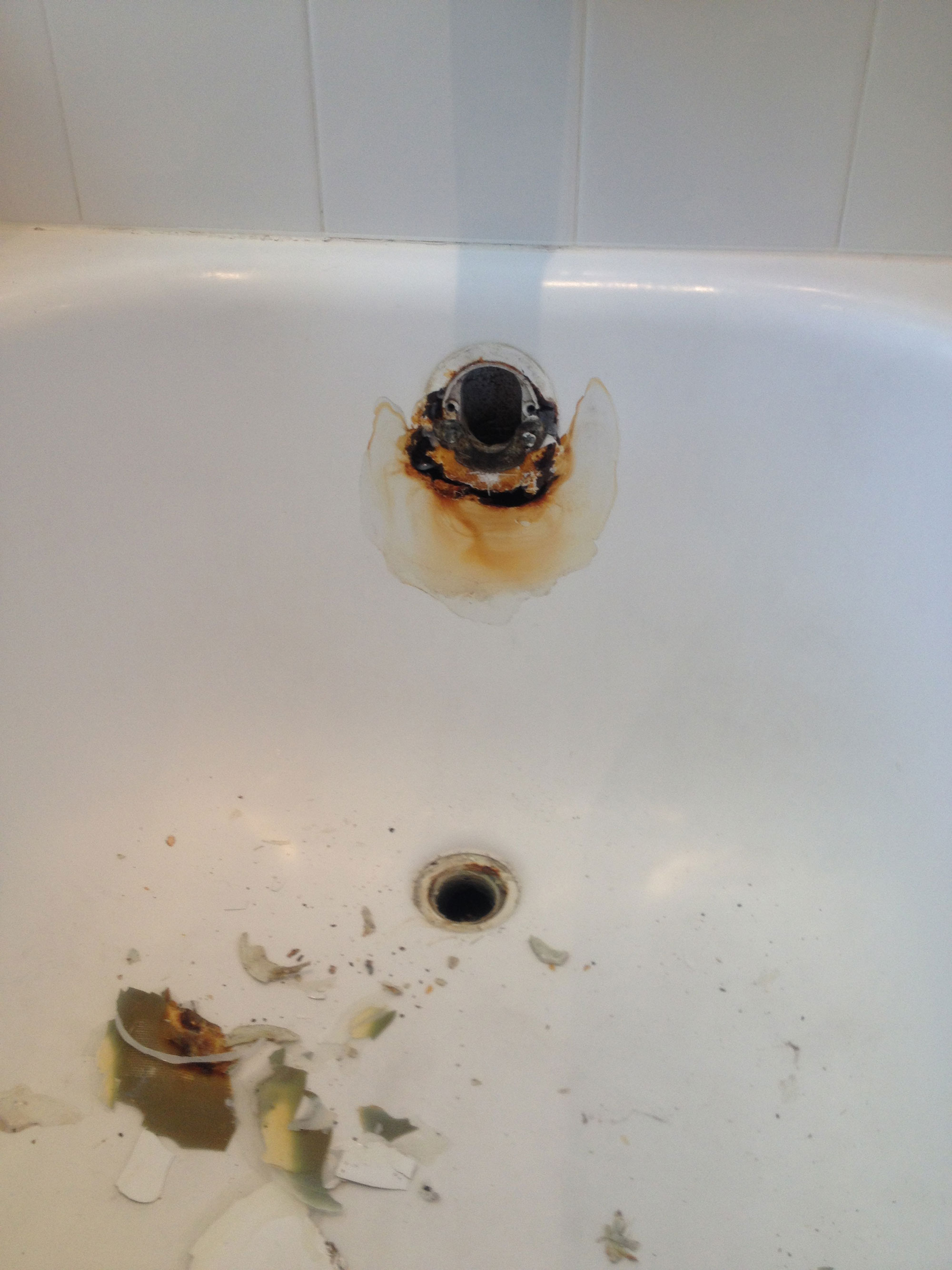 Bathtub Before Remodel